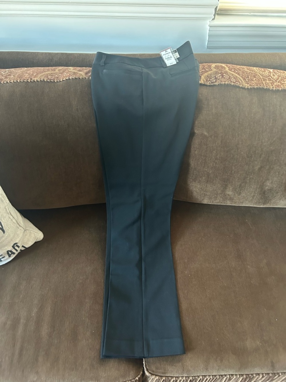Express Barely Boot Dress Pants (NWT Size 10 Short)